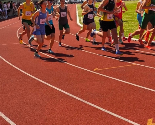 733146246_1449500163648894_3972709660324438342_n